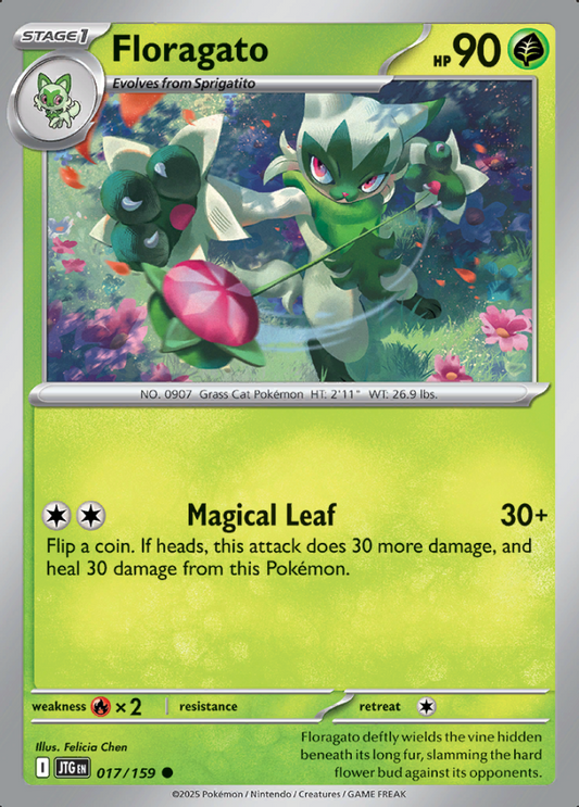 017/159 Floragato