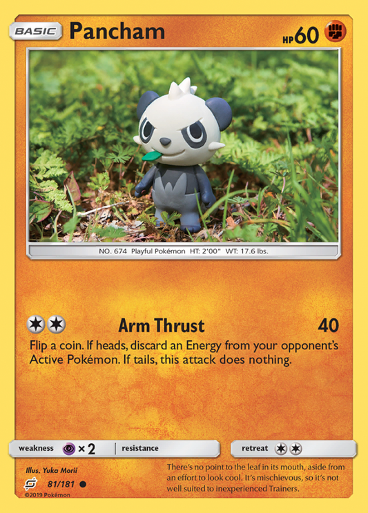 081/181 Pancham