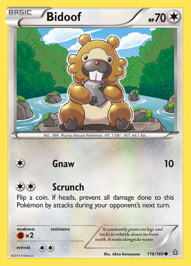 116/160 Bidoof