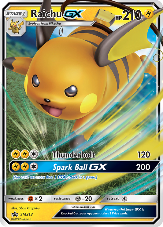 SM213 RaichuGX