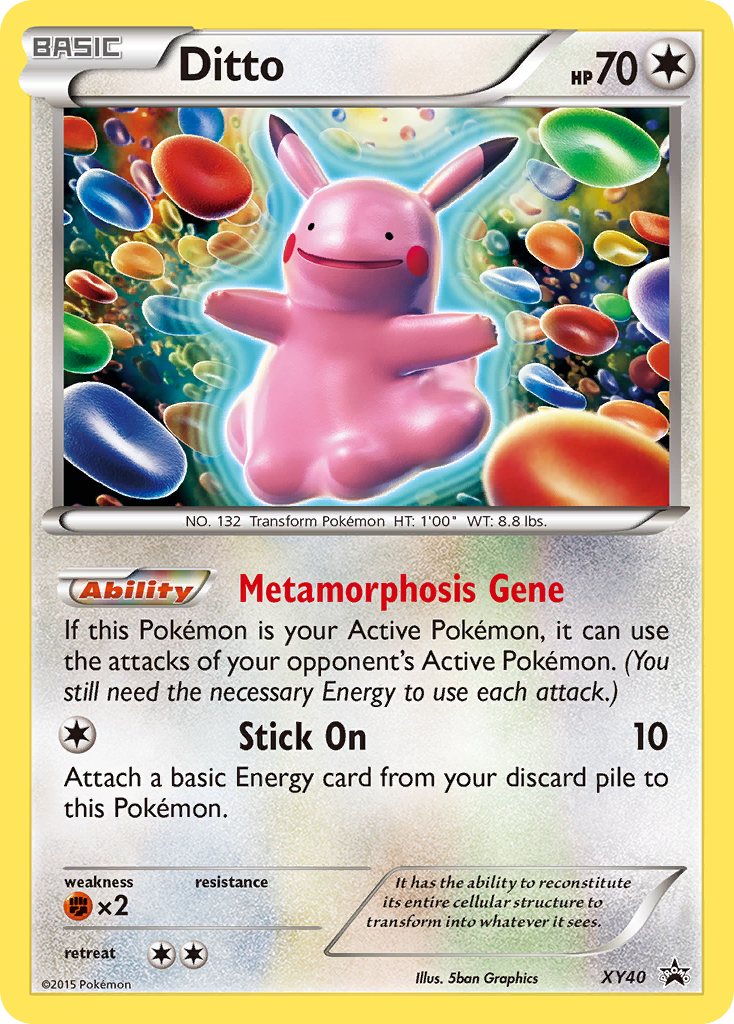 XY40 Ditto