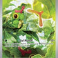 SV: Scarlet & Violet 151 - Caterpie #172/165 (Illustration Rare) - Holofoil