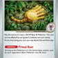 130/142 Antique Root Fossil