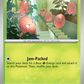 004/132 Exeggcute