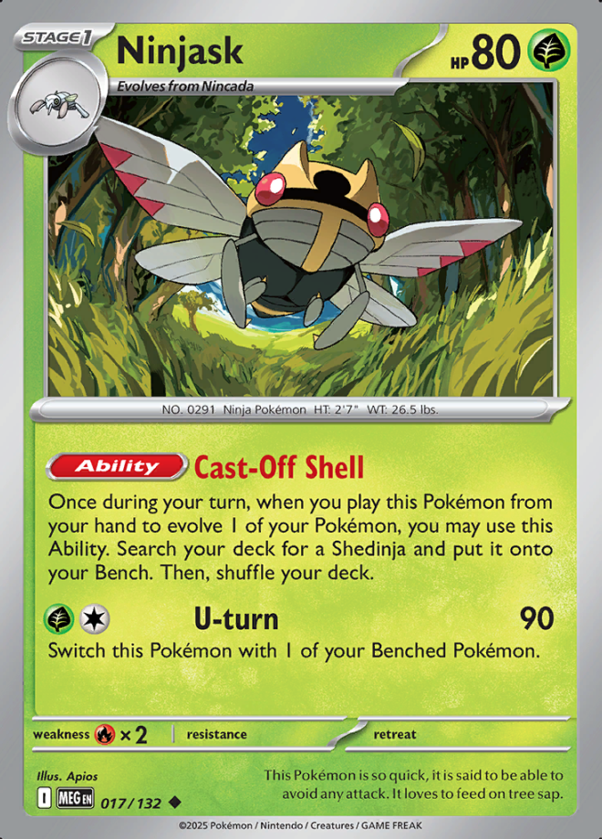 017/132 Ninjask