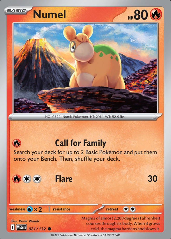 021/132 Numel