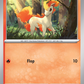 019/142 Ponyta