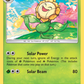 008/236 Sunflora