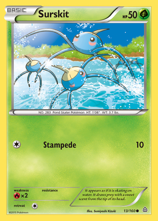 013/160 Surskit