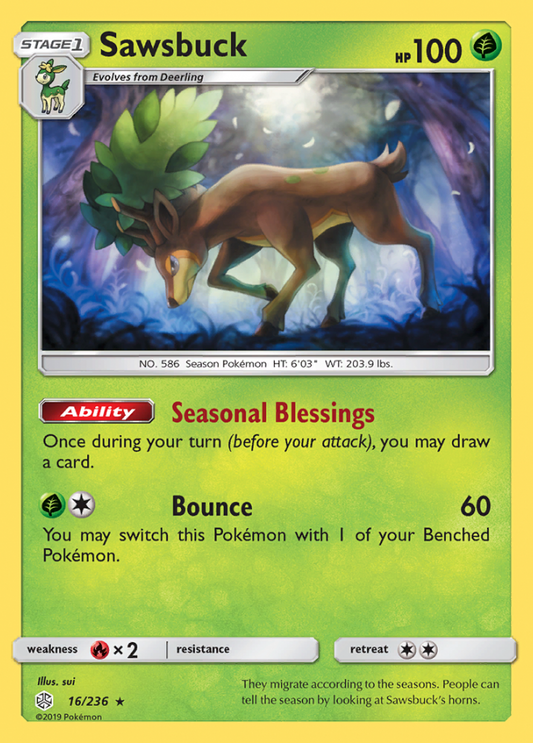 016/236 Sawsbuck