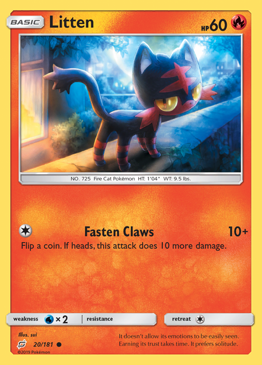 020/181 Litten