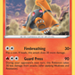 023/172 Torkoal