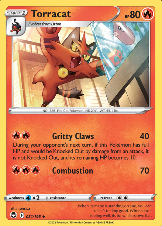 031/195 Torracat