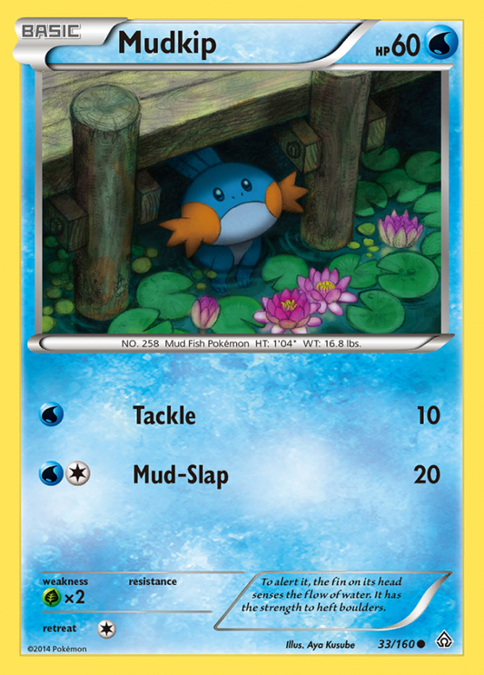 033/160 Mudkip