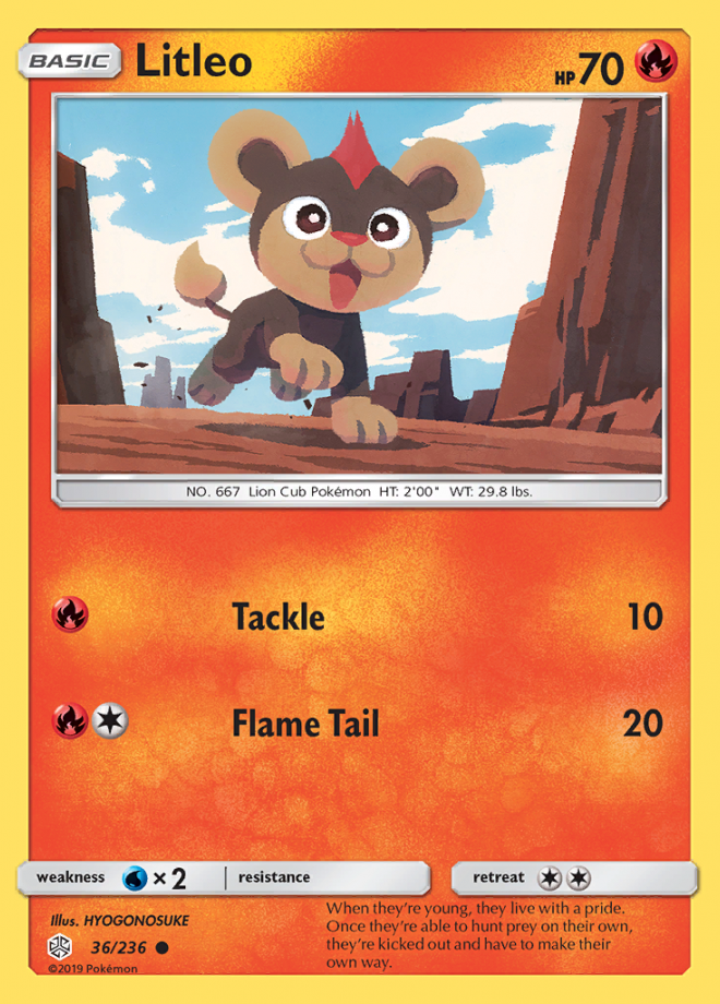 036/236 Litleo
