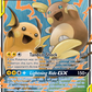054/236 Raichu & Alolan RaichuGX