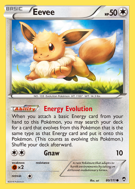 080/111 Eevee