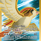 104/108 PidgeotEX