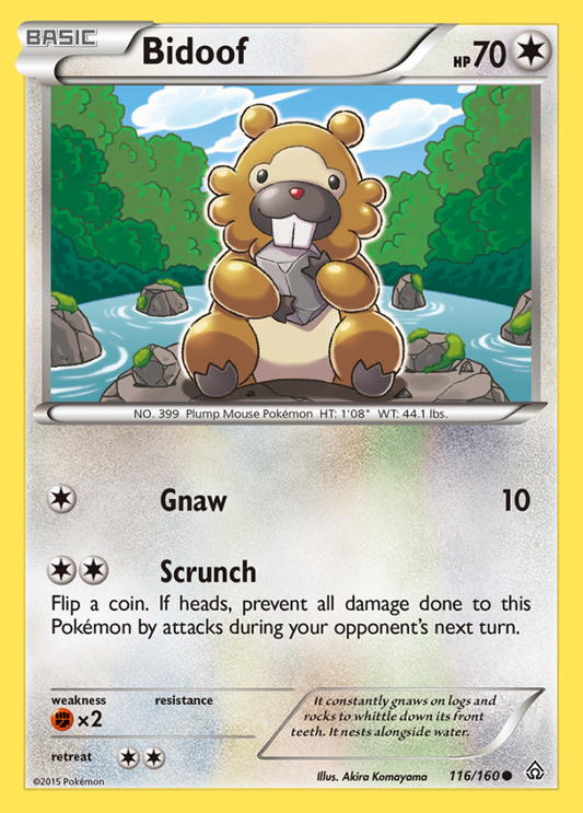 116/160 Bidoof