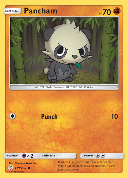 119/236 Pancham