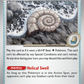 153/165 Antique Helix Fossil