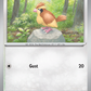 162/197 Pidgey