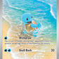 170/165 Squirtle
