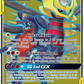 228/236 Garchomp & GiratinaGX