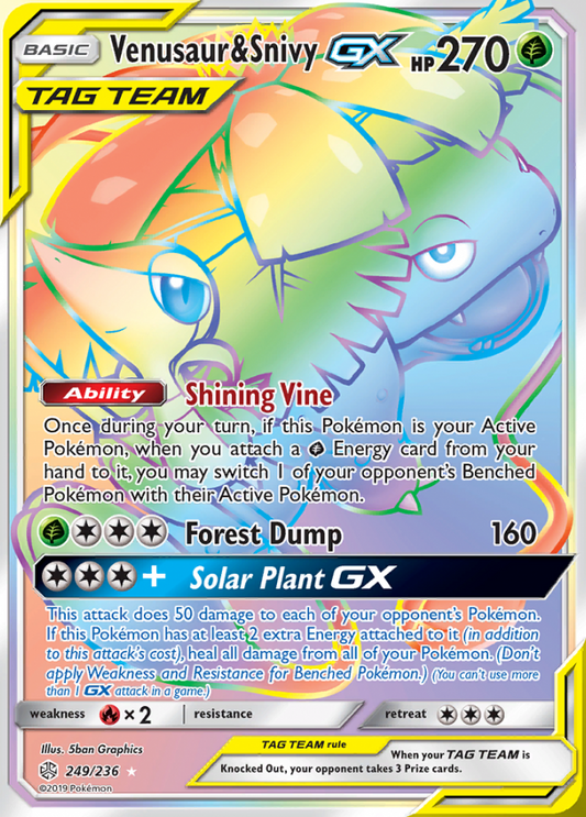 249/236 Venusaur & SnivyGX