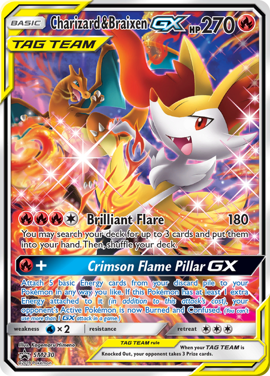 SM230 Charizard & Braixen