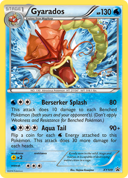 XY109 Gyarados