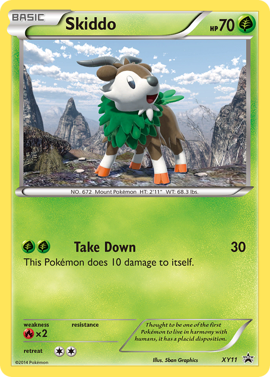 XY11 Skiddo