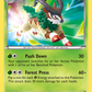 XY16 Gogoat