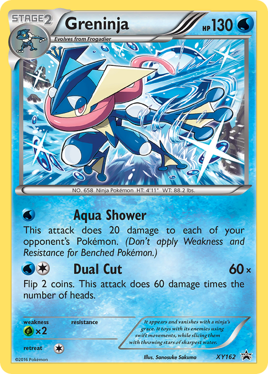 XY162 Greninja