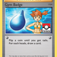 XY204 Gym Badge