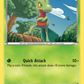 XY36 Treecko