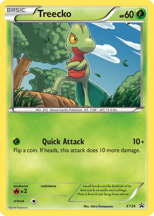 XY36 Treecko