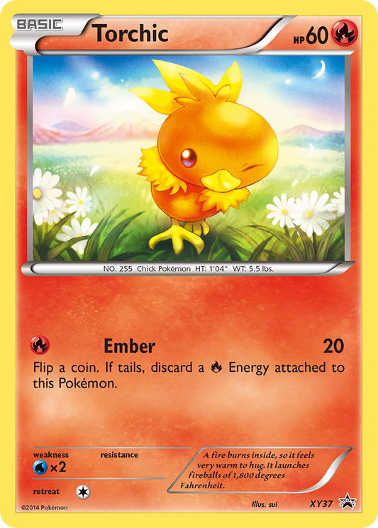 XY37 Torchic
