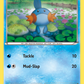 XY38 Mudkip
