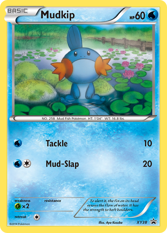 XY38 Mudkip
