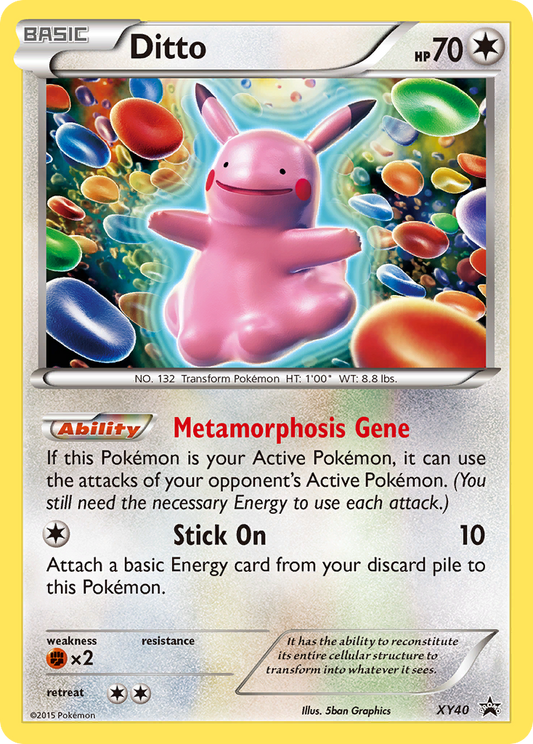 XY40 Ditto