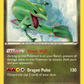 XY64 Rayquaza
