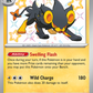 137/091 Luxray